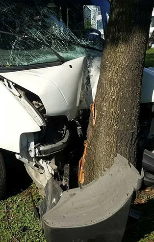 İstanbul'da servis aracı ağaca çarptı