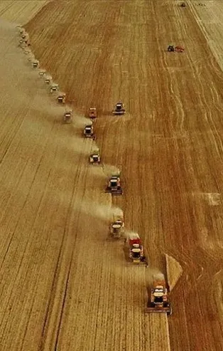 Türkiye'de tarım haritası değişiyor! Adana'da avokado, Antalya'da pepino...