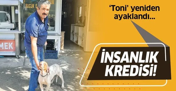 Osmaniye’de Halil Ahrazoğlu köpeği Toni için kredi çekti