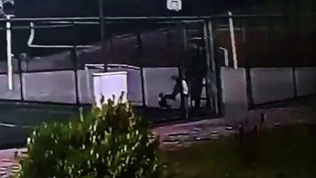Görüntüler İstanbul'dan! Köpeğe eziyet kamerada: Defalarca tekmeleyerek darp etti-1