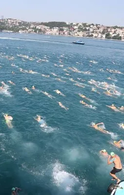 Yüzerek kıtadan kıtaya geçtiler!