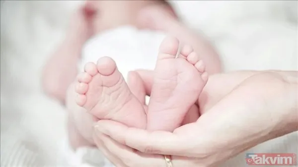 Bebek katili Yenidoğan çetesinin örgütsel şeması ortaya çıktı! Yavrularımızı ölüme nasıl götürdüler? - 10