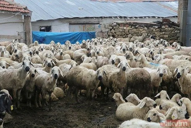koronaviruste-normallesme-sureci-basladi-iste-1-haziran-itibariyle-acik-olacak-yerler-1590961422434.jpeg Koronavirüste normalleşme süreci başladı: İşte 1 Haziran itibariyle açık olacak yerler-9