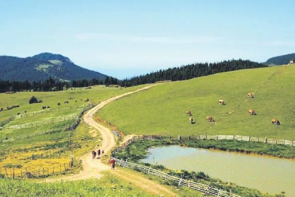 tarih-kokan-sehir-1669331094124.jpeg Tarih kokan şehir Tokat! Tarihi zenginlikleri ve doğal güzellikleriyle seyahat rotaları arasında yerini alıyor-6