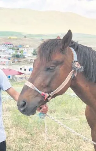 Alişan'dan alkışlık hareket! LGS'de birinci olan Karslı Adil Karadağ'ın başarısına kayıtsız kalmadı