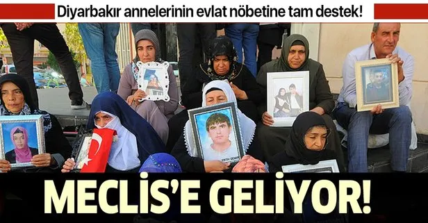 Diyarbakır anneleri Meclis'e geliyor!