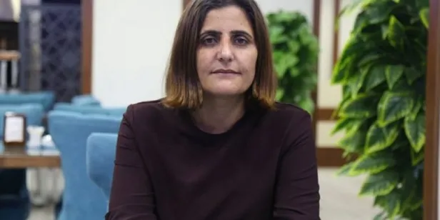 Dirayet Dilan Taşdemir kimdir, nereli? Dirayet Dilan Taşdemir nerenin milletvekili?-3