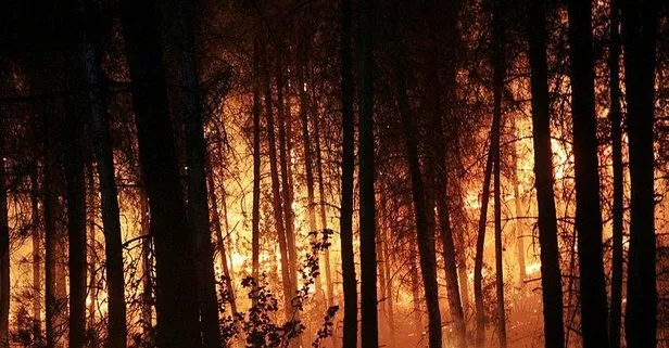 Orman Genel Müdürlüğü duyurdu: Yurt genelinde 6 orman yangını kontrol altına alındı