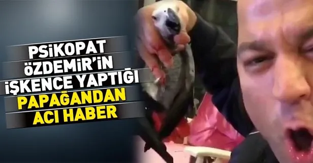 Psikopat Murat Özdemir’in işkence yaptığı papağan öldü!