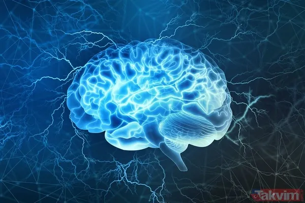 Bu besinler tam bir şifa deposu... Hem hafızayı güçlendiriyor hem de beyni geliştiriyor! - 1