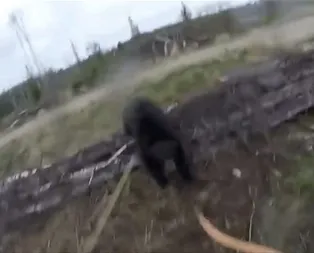 Kazadan saniyeler önce böyle görüntülenmiş!