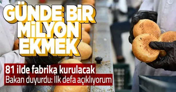 81 ilde ekmek fabrikası kurulacak! Bakan Özer duyurdu! Günde bir milyon ekmek üretilecek