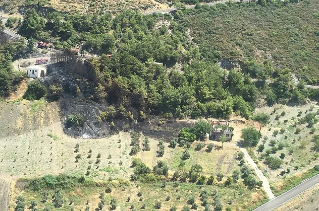 Hatay'da orman yangını! Büyümeden söndürüldü