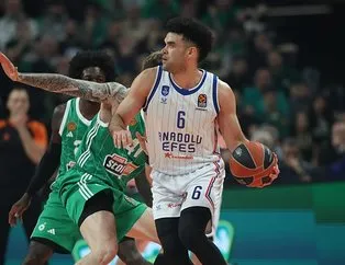 Anadolu Efes kayıp