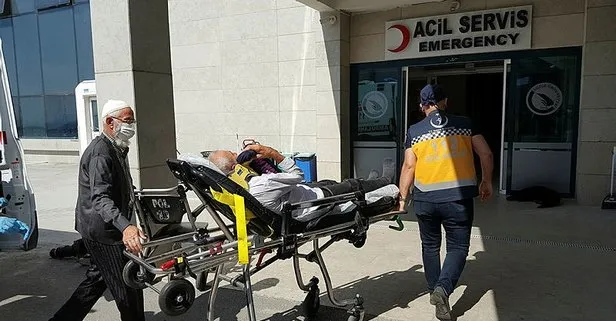 Kurbanlık koç bir boynuz darbesiyle bayılttı