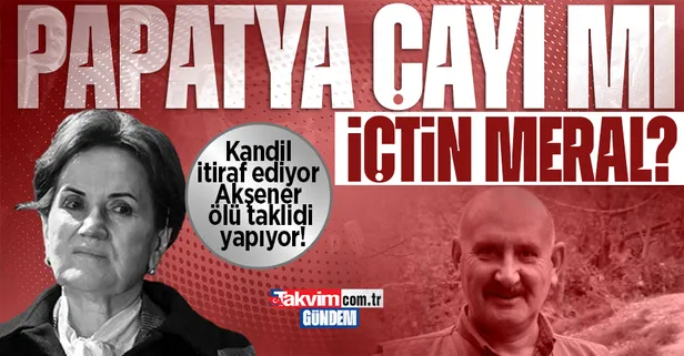 Kandil elebaşı Sabri Ok'un "Diğer ülkelerden emir aldık" itirafına İYİ Parti Genel Başkanı Meral Akşener sessiz!