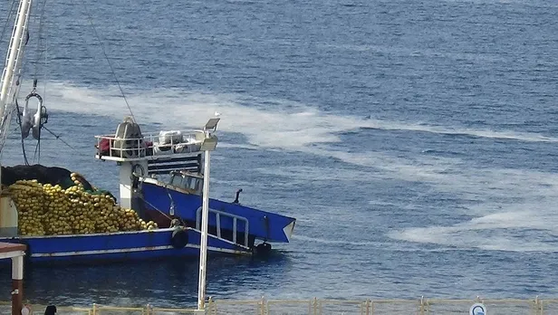 SON DAKİKA: Çanakkale Boğazı'nda denizi kaplayan 'müsilaj' balıkçının kabusu oldu: Üç aydır denize çıkmıyorum-3