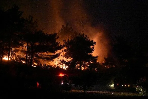 canakkale-geliboluda-orman-yangini-iste-son-durum-1594071448418.jpeg Çanakkale Gelibolu'da orman yangını! İşte son durum-5