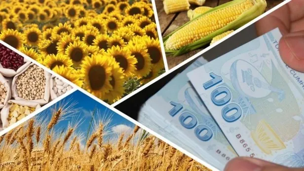 Son dakika: Çiftçilerin destek ödemesi başlıyor! Bakan Pakdemirli duyurdu:-6