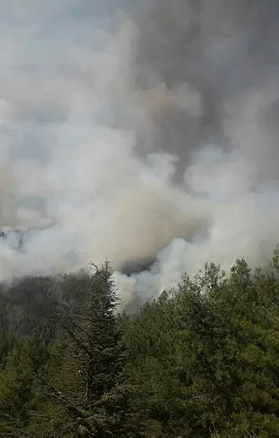 Antalya'da orman yangını