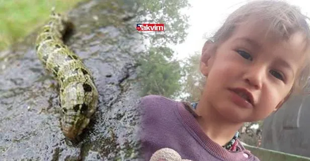 muslume nin uzerinde goruldu larva nedir insana nasil bulasir larva nasil olusur neden olur larvalar nerede yasar takvim