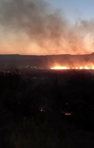 Ankara Nallıhan'da yangın!