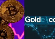 Thodex-Vebitcoinin ardından Goldexco.in depremi: Goldexco.in battı mı? GLDX Token alım satımı durdu mu? Sahibi kim?