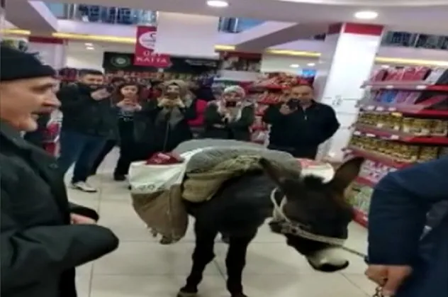 Niğde'deki eşekli şovun cezası belli oldu