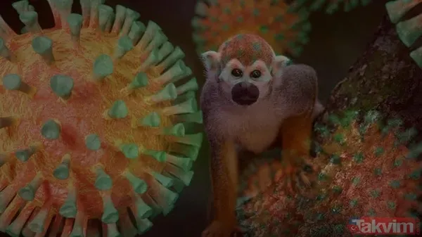 Küresel maymun çiçeği vakalarında artış! DSÖ son verileri duyurdu: Maymun çiçeği nasıl yayılıyor? Hastalığın belirtileri neler? - 17