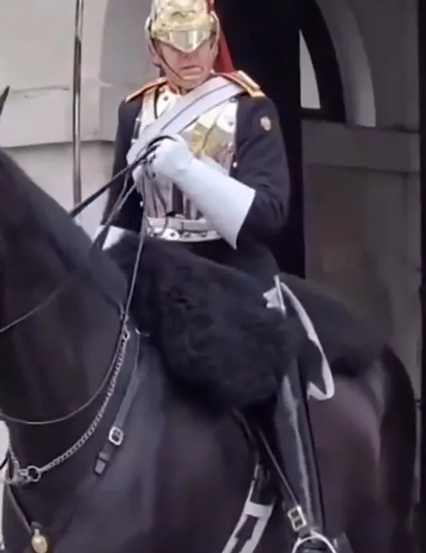 kadin-hayatinin-sokunu-yasadi-kralicenin-atina-dokunda-fircayi-yedi-1658851320040.jpeg Kadın hayatının şokunu yaşadı! Kraliçe'nin atına dokundu fırçayı yedi-5