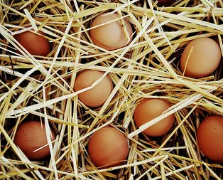 Kahvaltının yıldızı yumurtayı sakın böyle yemeyin