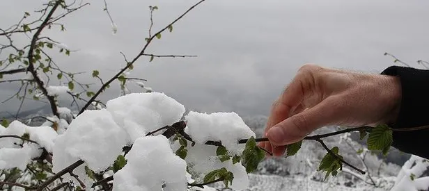 Meteorolojiden zirai don uyarısı