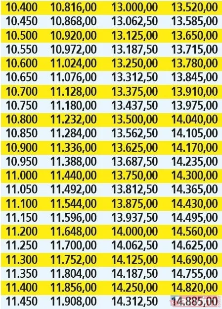 Emekliye yeni hesap çıktı! En düşük aylığa %25 fark eklendi! O tarihte yatacak! Tahsis no ile... - 31