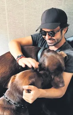 Yalın’ın kuzuları