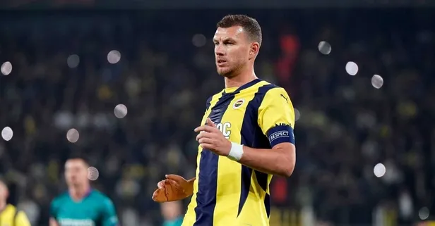Edin Dzeko Schalke 04'te!