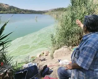 Eymir Gölü’ndeki manzaraya ODTÜ’den açıklama