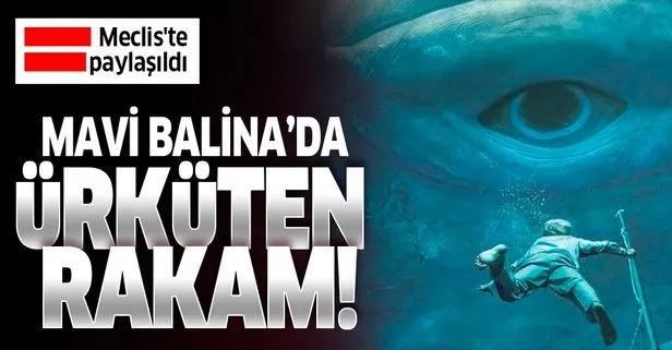 Mavi Balina’da ürküten rakam! Meclis’te paylaşıldı