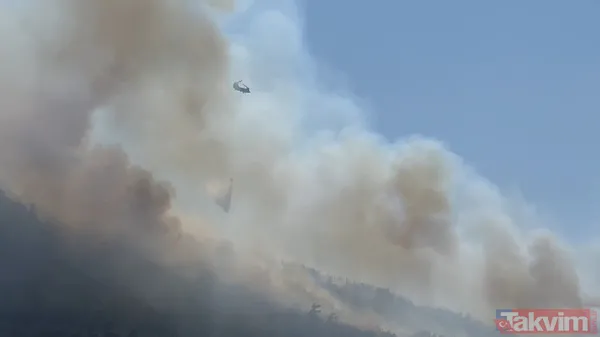 Bodrum'da orman yangını! "2024 yılının en ciddi yangınlarındandı" Kontrol altına alındı - 25