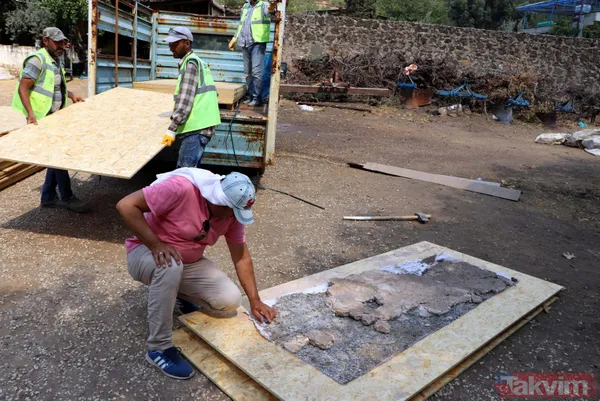 Kaçak kazıda bulunan mozaikler 98 parçaya bölünerek Zeugma Mozaik Müzesi'ne taşınıyor - 4