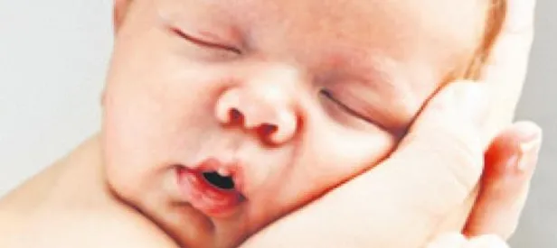 Somon-yumurta bebek yolda