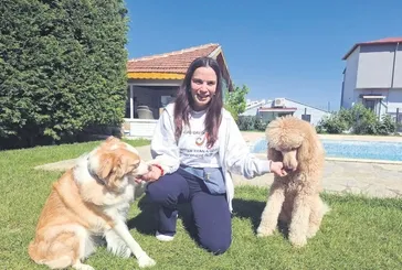 Köpeklerini pet oteline bırakan Aslı Bekiroğlu'nun ödediği ücret dudak uçuklattı!