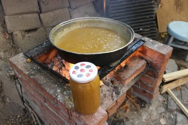 Tezgahta 10 liraya satılıyor! Bin bir derde deva, Doğada kendiliğinden yetişiyor!-4