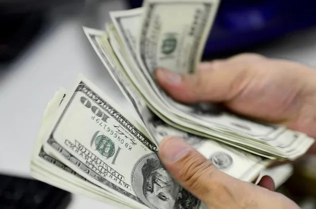 Reform paketi öncesi yerli yatırımcı harekete geçti: Döviz hesaplarında 2.1 milyar dolarlık çözülme