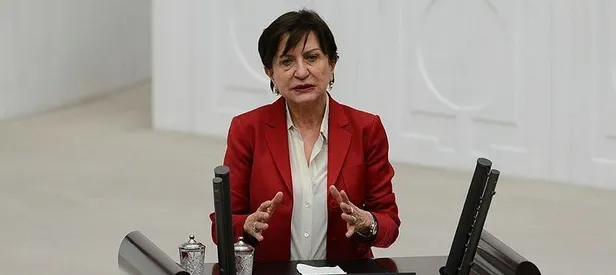 CHP'li Binnaz Toprak alay konusu oldu