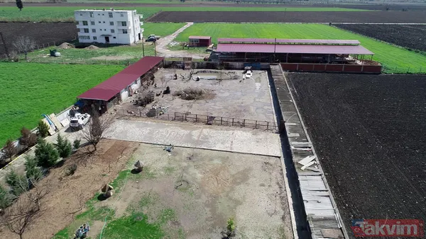 Tanesi 7 TL'ye yumurta! Yere atıldığında bile kolay kolay kırılmıyor - 16