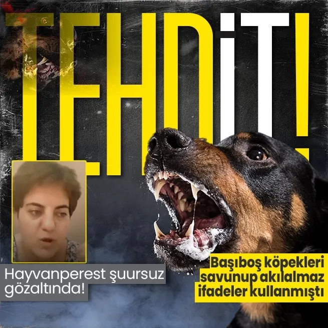 Başıboş köpekleri savunup tehdit yağdıran hayvanperest YouTuber Tyche Kairos gözaltına alındı