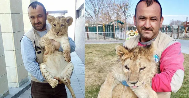 Aslan saldırısı sonucu bir parmağını kaybetti