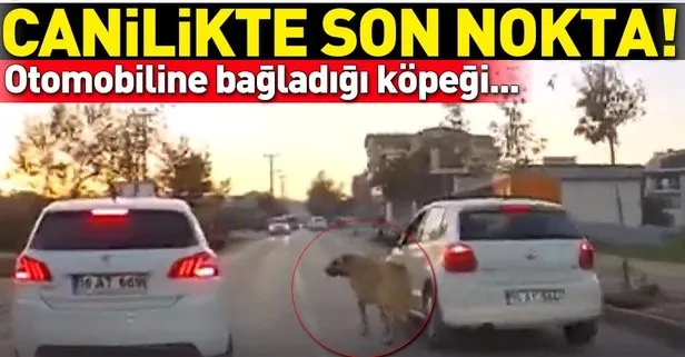 Bursa’da canilikte son nokta! Otomobiline bağladığı köpeği sürükledi