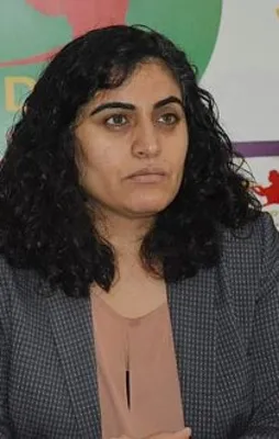 DBP'li Tuncel de tutuklandı!