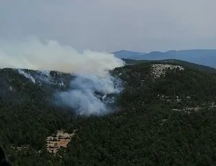 Milas’ta orman yangını çıktı